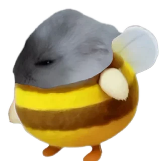 🐹