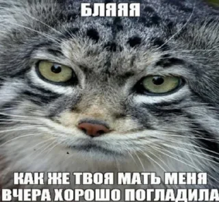 недындра • @the8055u