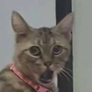😲