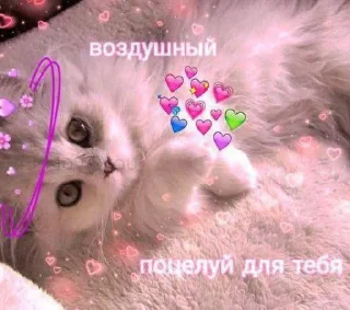 😘