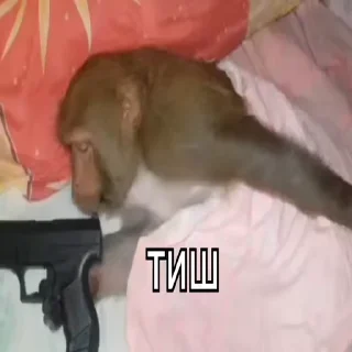 🤫