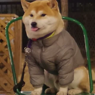 😰