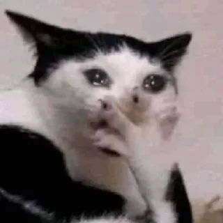 🌸