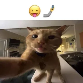 😛