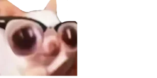 🤓