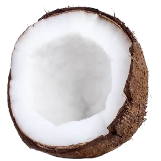 🥥