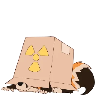 🦊