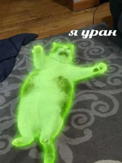 🟩