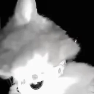😳