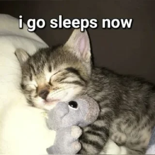😴