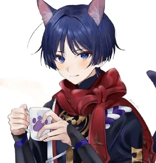 😺