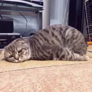 😞