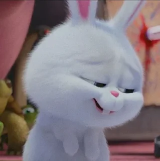 🐰