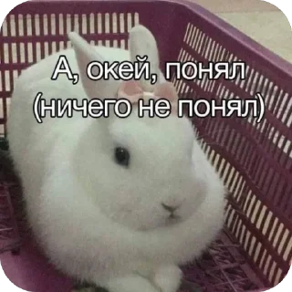 🫥
