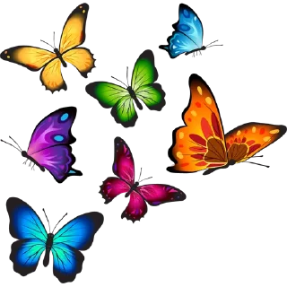 🦋