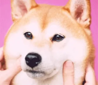 😊