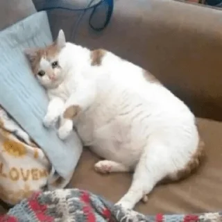 😭