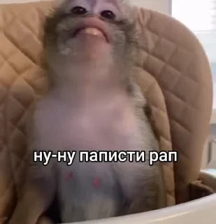 🙈