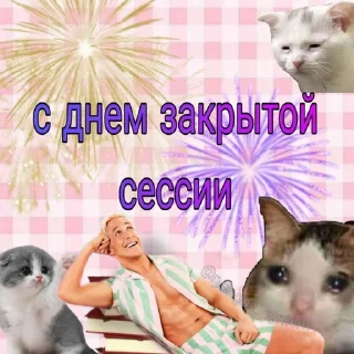 🎉