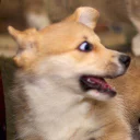 😳