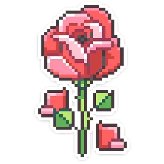 ⭐
