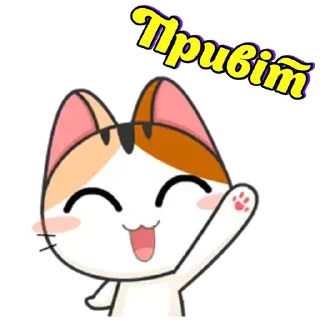 Японське Кошеня