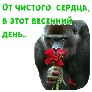 🥀