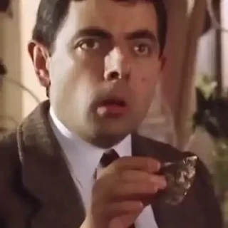 🪽