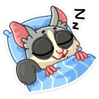 😴