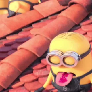🌟