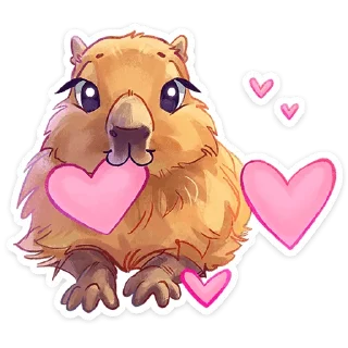 ❤️