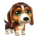 🐶