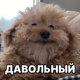 😊