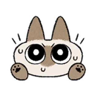 😺
