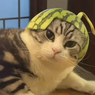 😟