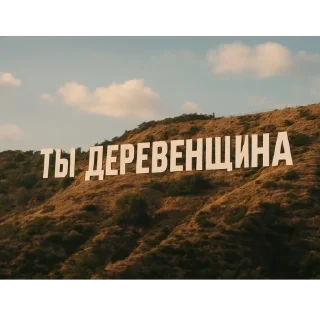 🪵
