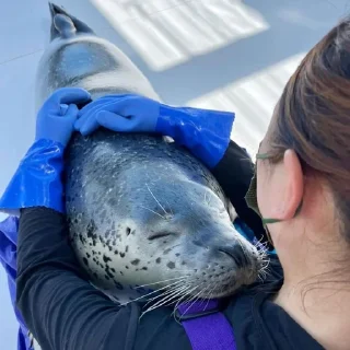 🤗