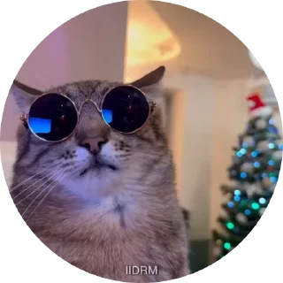 😎