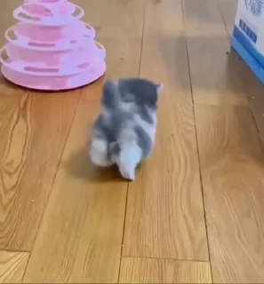 🤭