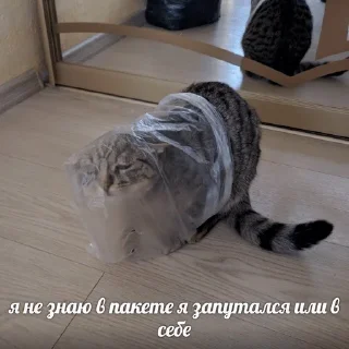 😭