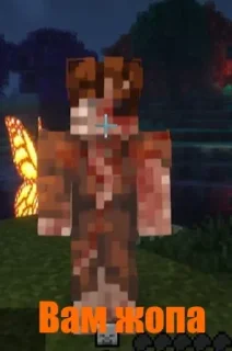 🫡