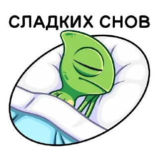 😴