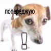 Крокус сіті хол
