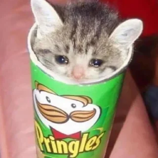 😢