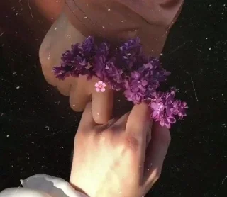 🌸