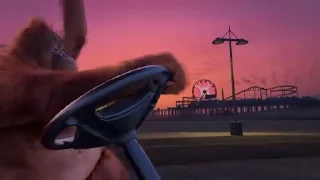 😎