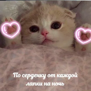 💗