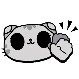 👏