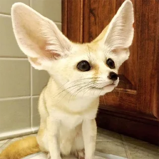 ❓