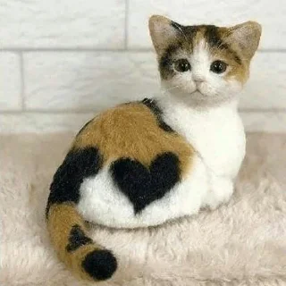 😺